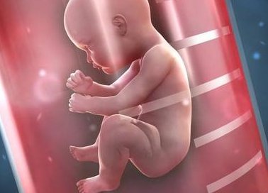 武汉做三代试管婴儿成功率高的医院名单，想做试管就看过来