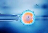 泰国试管婴儿成功率排名，排行前列助孕新选择！