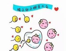 试管婴儿为何失败（试管婴儿失败的原因都有哪些）