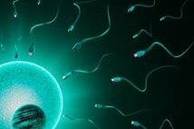 孕早期腹痛后流血块并且孕反消失是流产了吗？