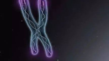 试管婴儿胚胎移植后，监督好自己这四件事不要做!