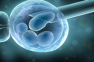 在遵义做第三代试管婴儿的费用大约多少？