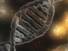 做三代试管婴儿养囊失败怎么养身体后才能继续促排？